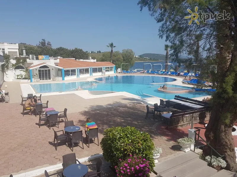 Фото отеля Club Muskebi 3* Бодрум Туреччина екстер'єр та басейни