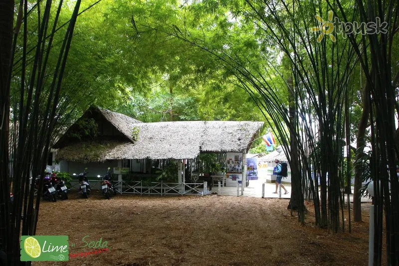 Фото отеля Lime n Soda Backpackers Beach Resort 3* apie. Phanganas Tailandas išorė ir baseinai