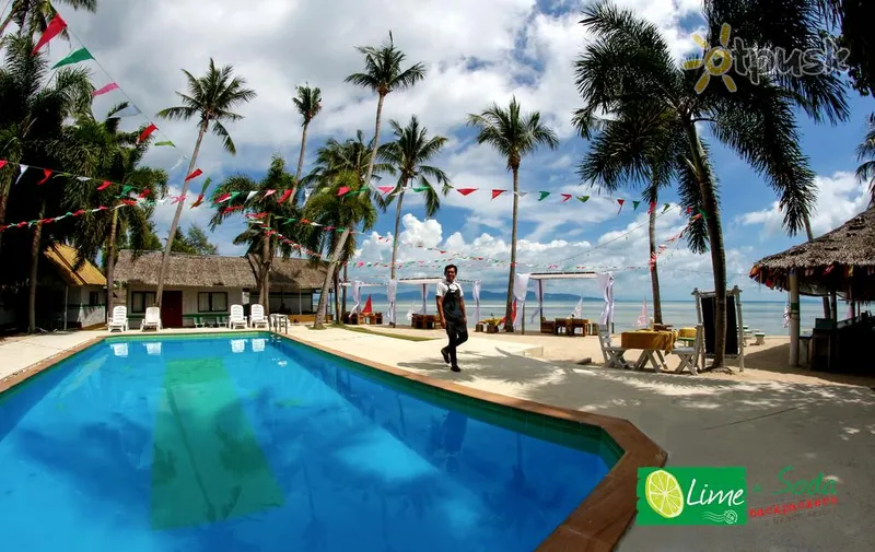 Фото отеля Lime n Soda Backpackers Beach Resort 3* о. Пханган Таїланд екстер'єр та басейни