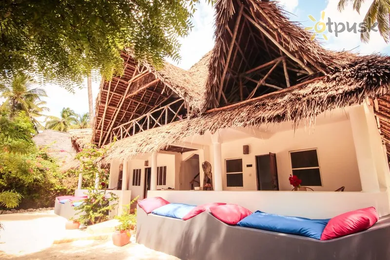 Фото отеля Blue Reef Lodge 3* Jambiani Tanzānija ārpuse un baseini