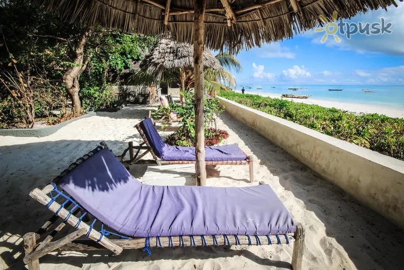 Фото отеля Blue Reef Lodge 3* Джамбиани Танзания пляж