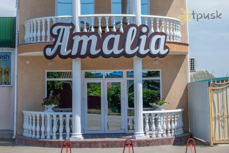 Фото отеля Amalia Hotel 2* Железный Порт Украина экстерьер и бассейны
