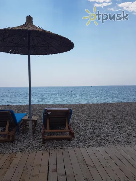 Фото отеля Ionian Hotel 4* Дхермі Албанія пляж