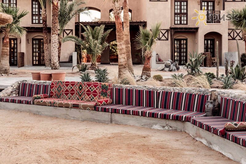 Фото отеля Cooks Club El Gouna 4* Ель-Гуна Єгипет екстер'єр та басейни
