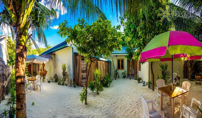 Фото отеля Amazing View Guest House 3* Арі (Аліфу) Атол Мальдіви екстер'єр та басейни
