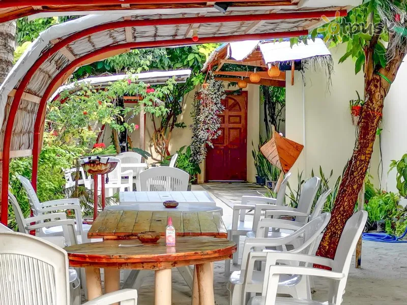 Фото отеля Amazing View Guest House 3* Ари (Алифу) Атолл Мальдивы бары и рестораны