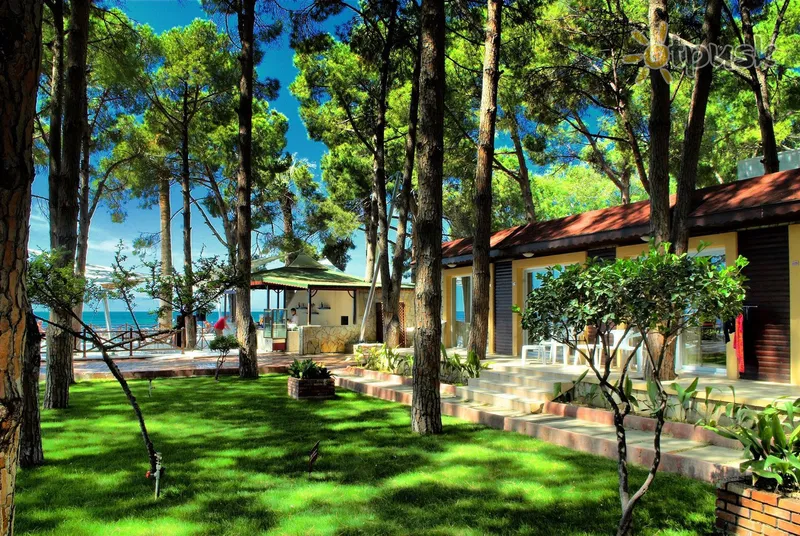 Фото отеля Omer Holiday Resort 4* Кушадаси Туреччина екстер'єр та басейни
