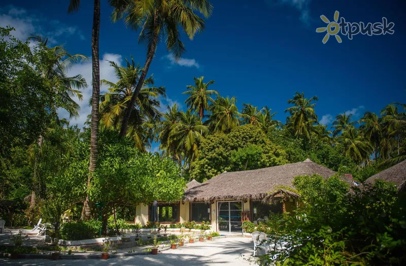 Фото отеля Biyadhoo Island Resort 3* Pietų Malės atolas Maldyvai išorė ir baseinai