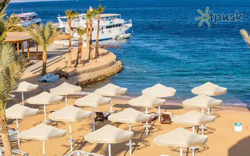 Фото отеля La Rosa Waves Resort 4* Хургада Єгипет пляж