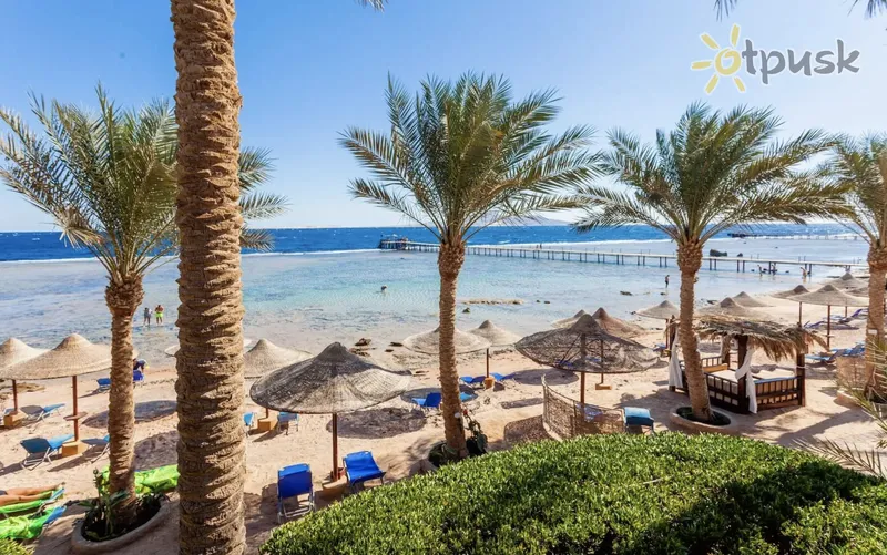Фото отеля Tamra Beach Resort 4* Šarm el Šeichas Egiptas papludimys