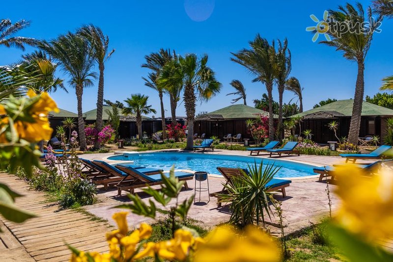 Фото отеля Abu Dabbab Lodge 3* Marsa Alamas Egiptas išorė ir baseinai