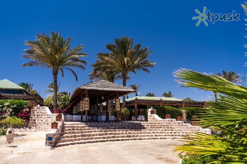 Фото отеля Abu Dabbab Lodge 3* Marsa Alamas Egiptas išorė ir baseinai