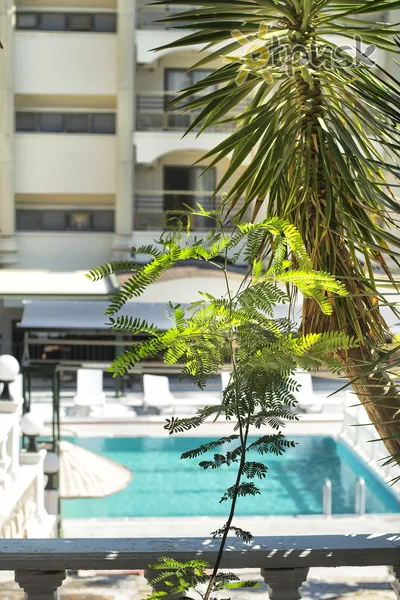 Фото отеля Temple Beach Hotel 3* Дідім Туреччина екстер'єр та басейни