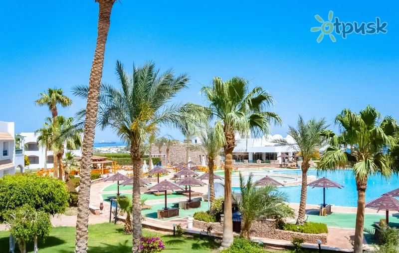 Фото отеля Coral Beach Resort Montazah 4* Šarm el Šeichas Egiptas išorė ir baseinai
