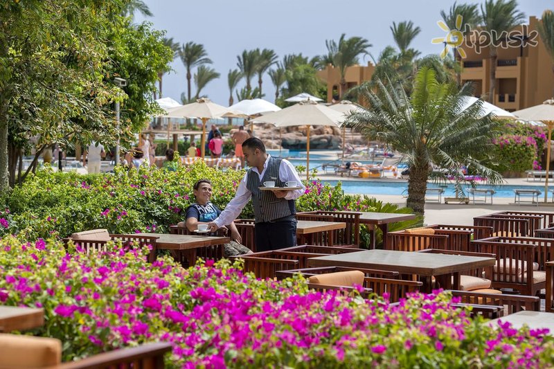 Фото отеля Stella Beach Resort & Spa Makadi Bay 5* Макади Бей Египет бары и рестораны