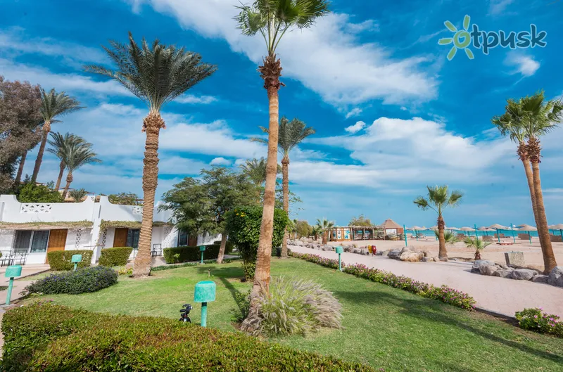 Фото отеля Shams Safaga Resort 4* Сафага Єгипет екстер'єр та басейни