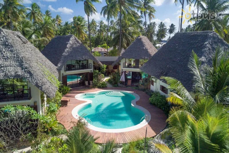 Фото отеля Jambiani Villas 4* Джамбіані Танзанія екстер'єр та басейни
