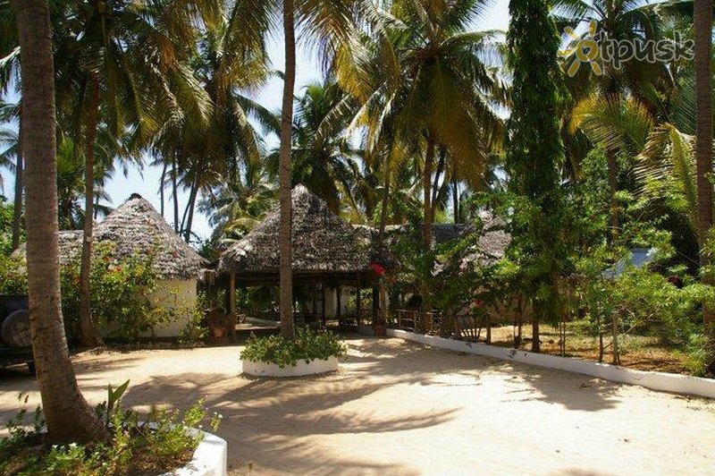 Фото отеля Ndame Beach Lodge 2* Паже Танзания экстерьер и бассейны