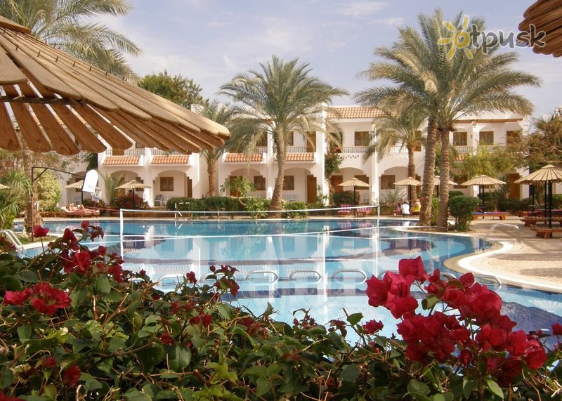 Фото отеля Dive Inn Resort 4* Шарм эль Шейх Египет экстерьер и бассейны