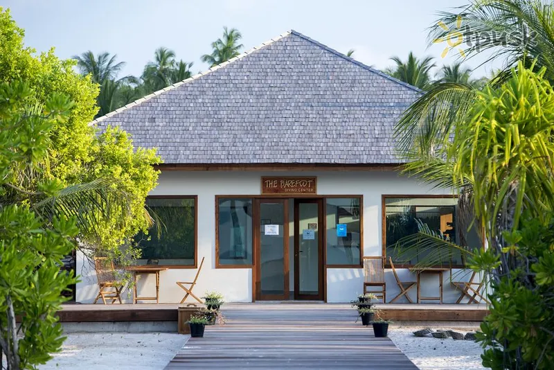 Фото отеля The Barefoot Eco Hotel 4* Gaafu Alifu atols Maldīvija ārpuse un baseini