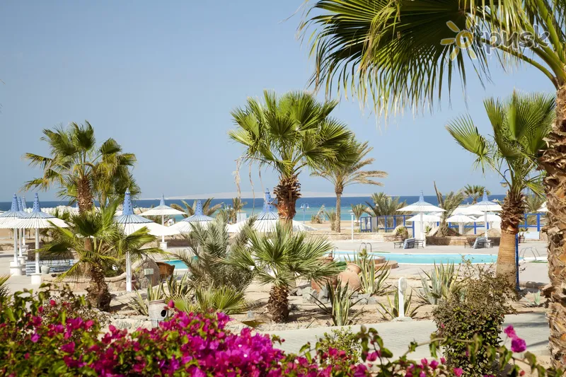 Фото отеля Coral Beach Hurghada 4* Хургада Єгипет екстер'єр та басейни