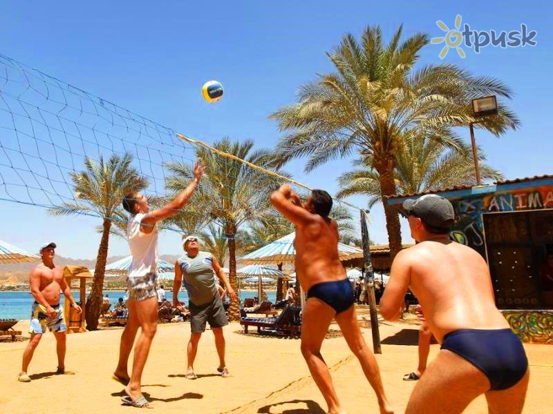 Фото отеля Coral Hills Resort Sharm El Sheikh 3* Шарм эль Шейх Египет спорт и досуг