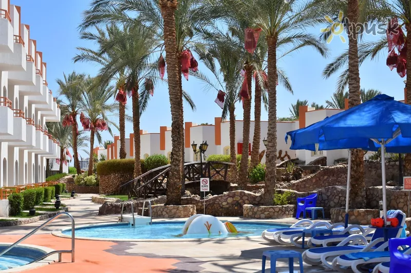Фото отеля Gafy Resort 4* Шарм ель шейх Єгипет екстер'єр та басейни