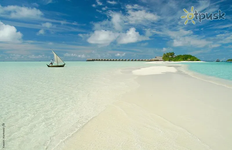 Фото отеля Como Cocoa Island 5* Pietų Malės atolas Maldyvai papludimys