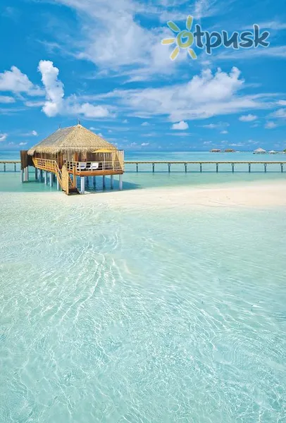 Фото отеля Constance Moofushi 5* Ari (Alifu) atols Maldīvija pludmale
