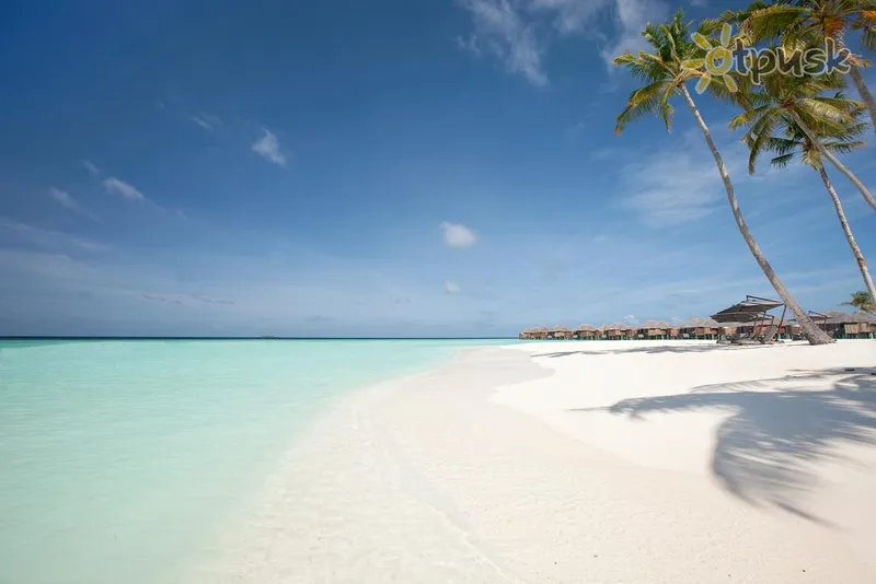 Фото отеля Constance Halaveli 5* Арі (Аліфу) Атол Мальдіви пляж