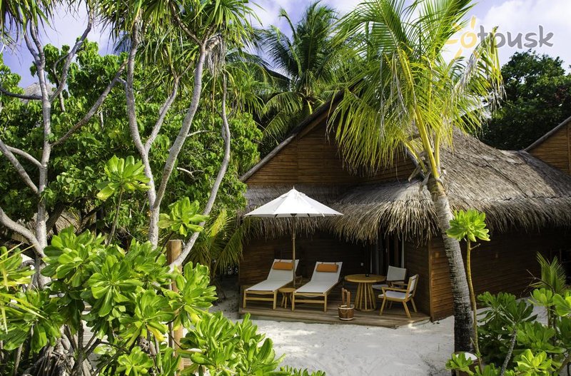 Фото отеля Mirihi Island Resort 5* Ари (Алифу) Атолл Мальдивы экстерьер и бассейны