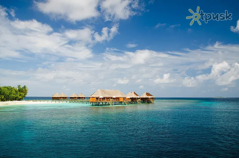 Фото отеля Mirihi Island Resort 5* Ari (Alifu) atols Maldīvija ārpuse un baseini
