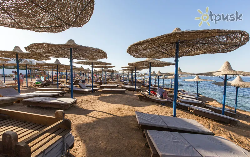 Фото отеля Amphoras Blu 4* Шарм эль Шейх Египет пляж