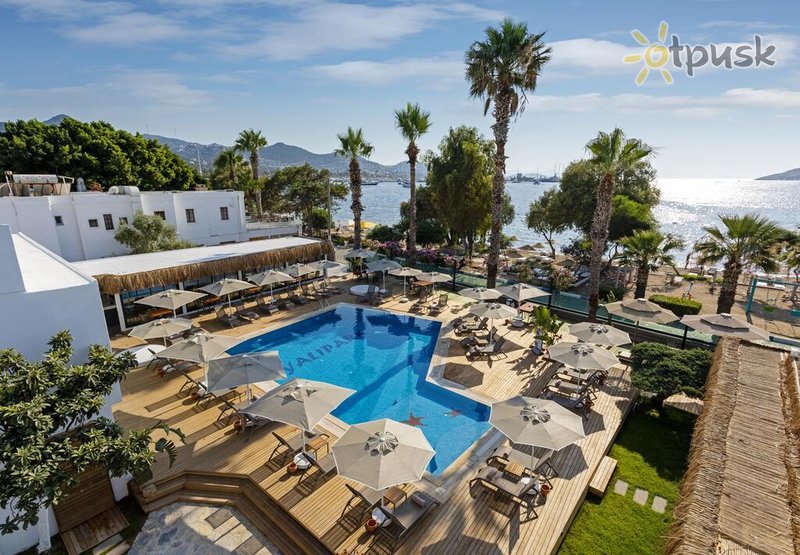 Фото отеля Yalipark Beach Hotel 3* Бодрум Турция экстерьер и бассейны