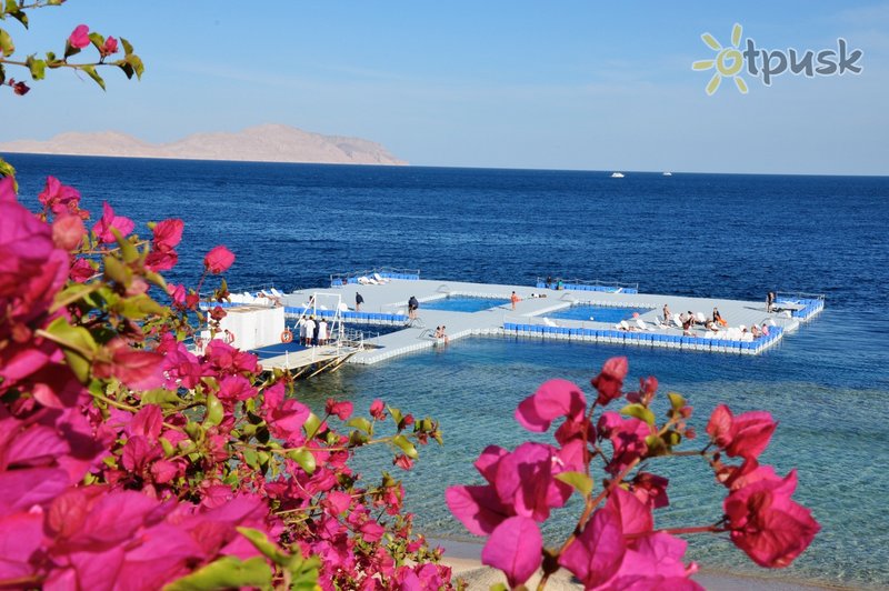 Фото отеля Domina Coral Bay Oasis 5* Шарм эль Шейх Египет пляж