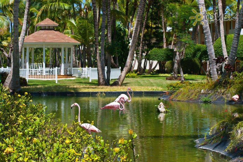 Фото отеля Catalonia Bavaro Beach 5* Пунта Кана Доминикана экстерьер и бассейны