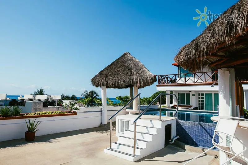 Фото отеля Illusion By Xperience Hotels 4* Playa del Carmen Meksika išorė ir baseinai