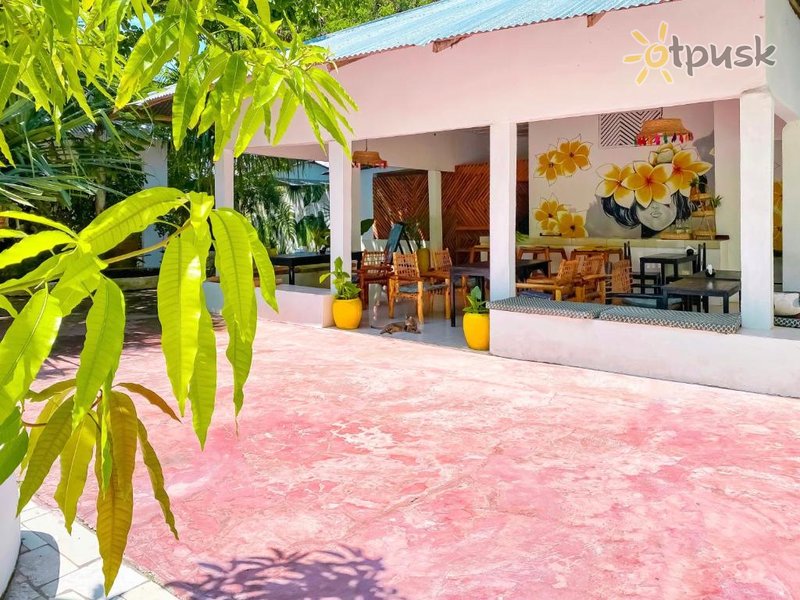 Фото отеля Papaya Guest House 3* Нунгви Танзания бары и рестораны