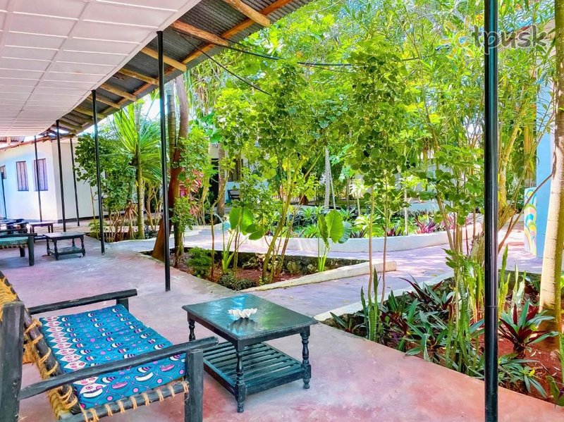 Фото отеля Papaya Guest House 3* Нунгви Танзания прочее