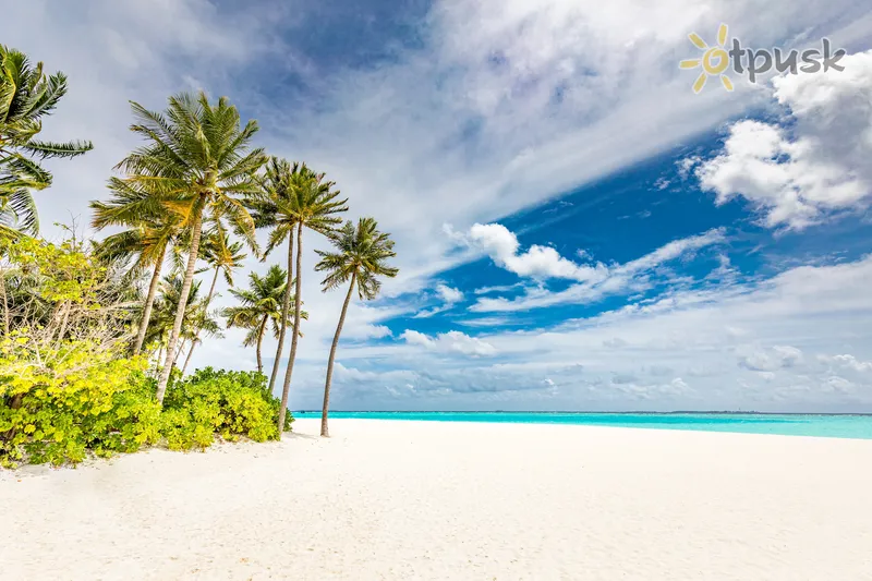 Фото отеля Siyam World 5* Nunu atolas Maldyvai papludimys