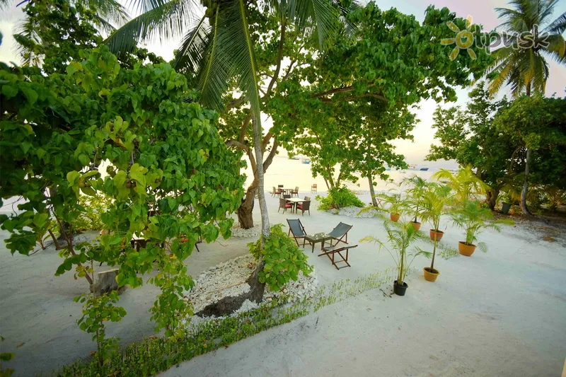 Фото отеля Mala Boutique Inn Dhangethi 3* Ари (Алифу) Атолл Мальдивы пляж