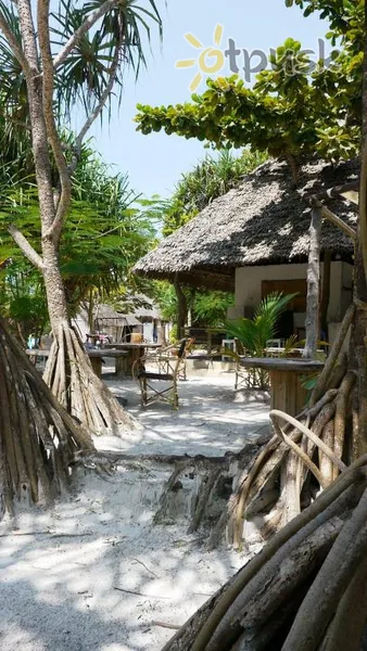 Фото отеля Barefoot Zanzibar 2* Michamvi Tanzānija ārpuse un baseini