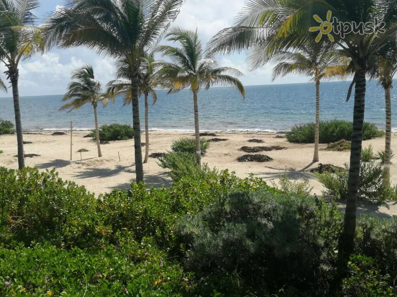 Фото отеля Haven Riviera Cancun Resort & Spa 4* Канкун Мексика пляж