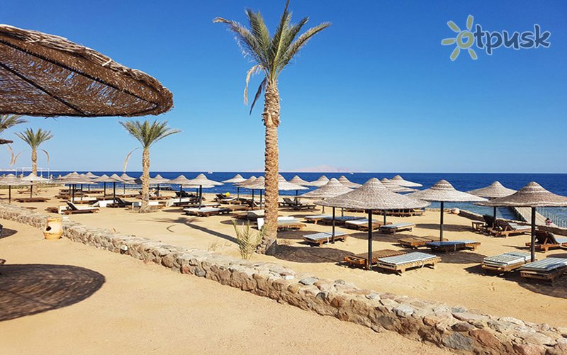 Фото отеля Tivoli Hotel Aqua Park 4* Шарм эль Шейх Египет пляж