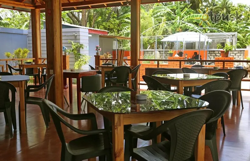 Фото отеля Charming Holiday Lodge 3* Addu atols Maldīvija bāri un restorāni