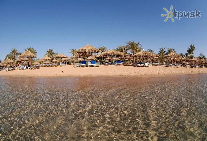 Фото отеля Jaz Fayrouz Resort 4* Šarm el Šeichas Egiptas papludimys