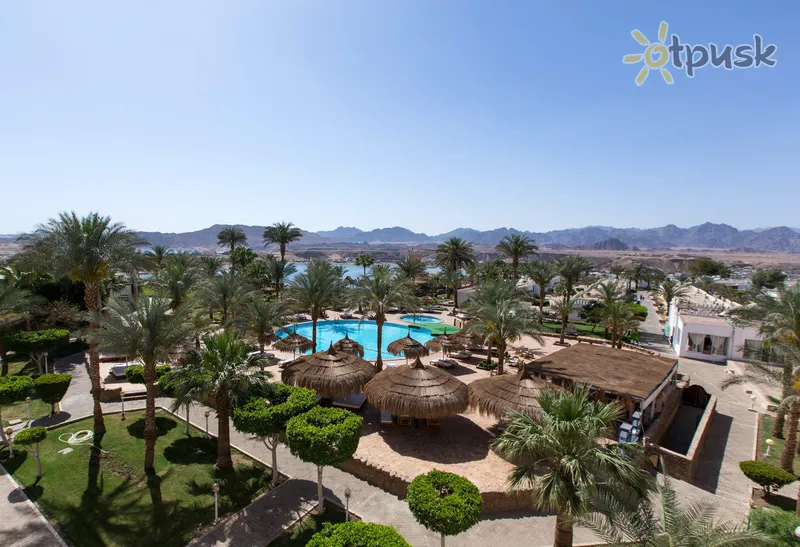 Фото отеля Albatros Sharm Resort 4* Шарм ель шейх Єгипет екстер'єр та басейни