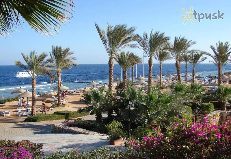 Фото отеля Queen Sharm Resort 4* Šarm el Šeichas Egiptas papludimys