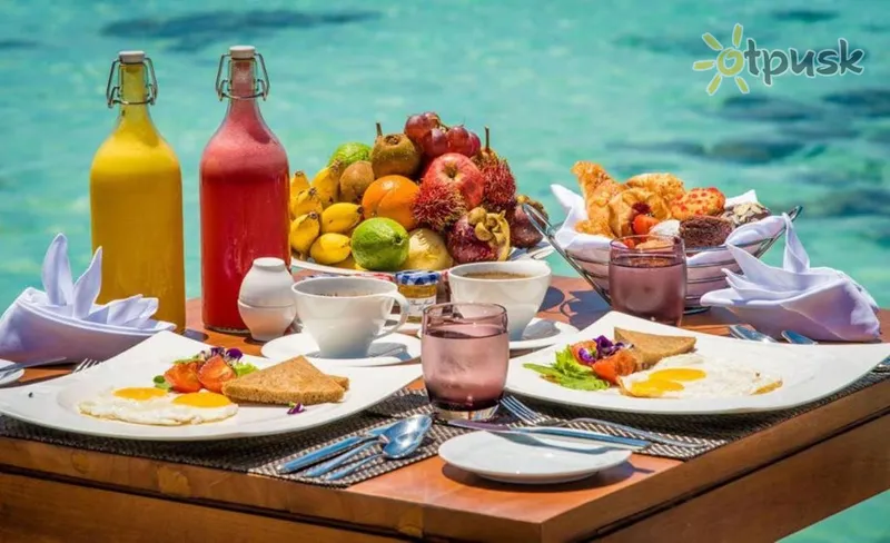 Фото отеля White Harp Beach 3* Ziemeļu Males atols Maldīvija bāri un restorāni