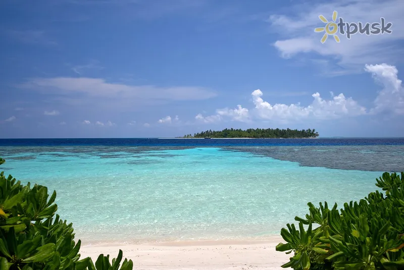 Фото отеля Plumeria Boutique 4* Vaavu atolas Maldyvai papludimys
